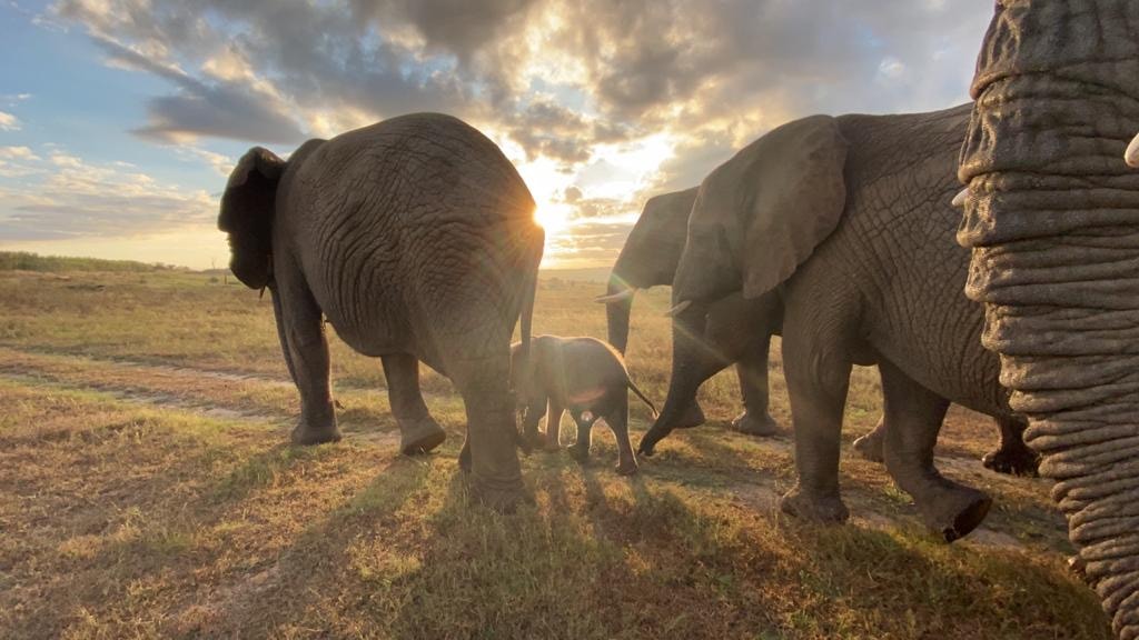 4454a204-9aec-47ad-86ed-5809de615378