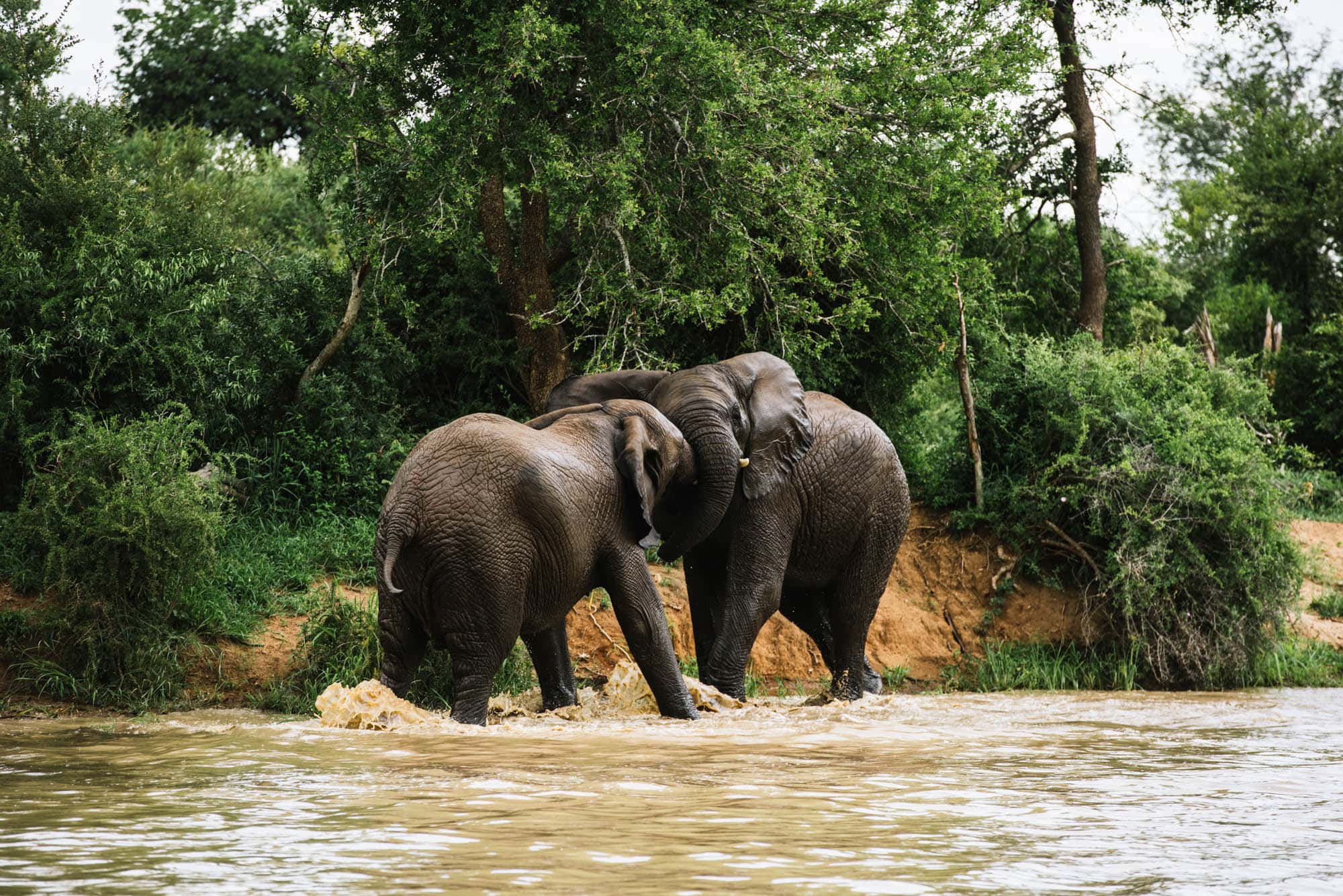 BBEAN GARY VAN WYK GVW_5680