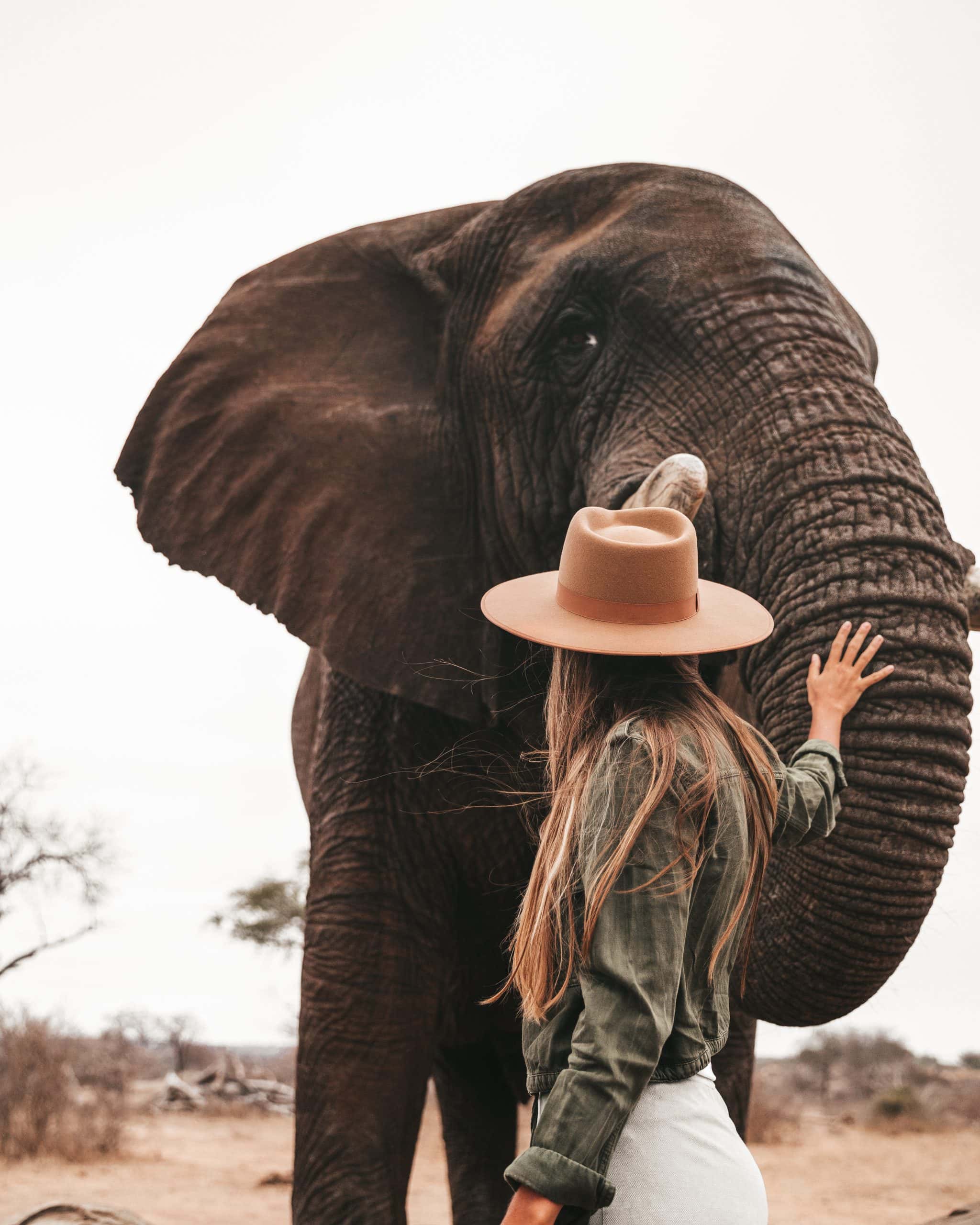 Jabulani Elephant Experience - meeting the ambassadors (11)